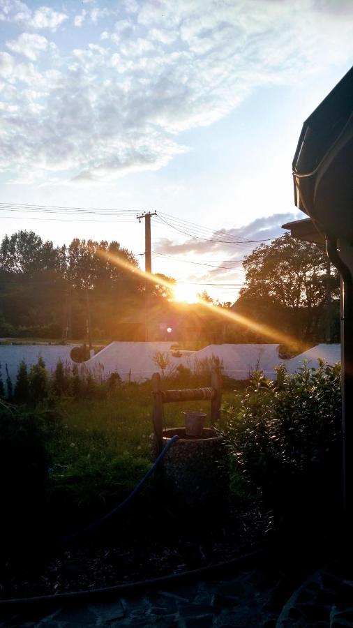 Sunsett+t *